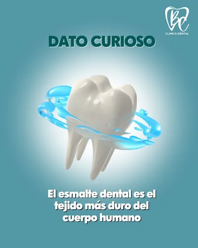 tarjeta de diente con esmalte dental